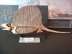 015 Cranbrook Institute of Science [2008 Jan 02]